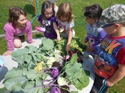 Zahradničíme ve školce